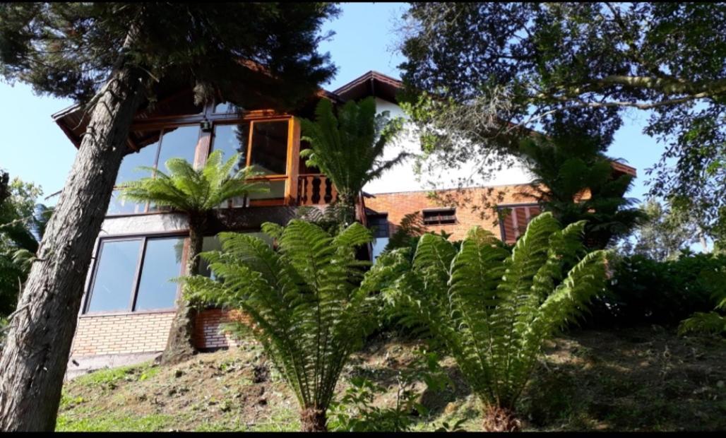 فيلا Casa Nobre غرامادو المظهر الخارجي الصورة